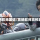 震撼鲜师国语/震撼鲜师高校篇