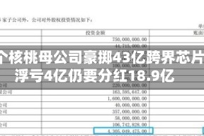 六个核桃母公司豪掷43亿跨界芯片，浮亏4亿仍要分红18.9亿