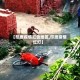【印度疫情红色地区,印度疫情红灯】