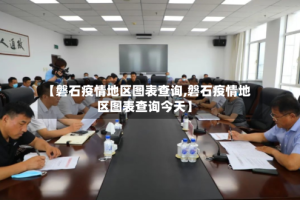 【磐石疫情地区图表查询,磐石疫情地区图表查询今天】