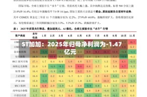 ST加加：2025年归母净利润为-1.47亿元