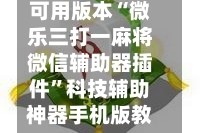 可用版本“微乐三打一麻将微信辅助器插件”科技辅助神器手机版教程