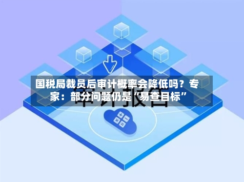 国税局裁员后审计概率会降低吗？专家：部分问题仍是“易查目标”-第3张图片