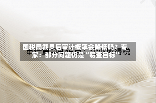 国税局裁员后审计概率会降低吗？专家：部分问题仍是“易查目标”-第2张图片