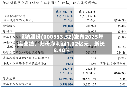 顺钠股份(000533.SZ)发布2025年度业绩，归母净利润1.02亿元，增长8.40%-第1张图片
