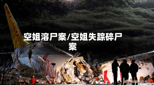 空姐溶尸案/空姐失踪碎尸案-第1张图片