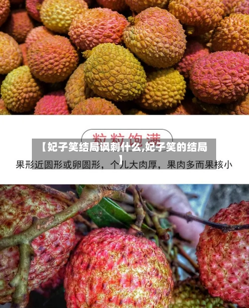 【妃子笑结局讽刺什么,妃子笑的结局】-第2张图片