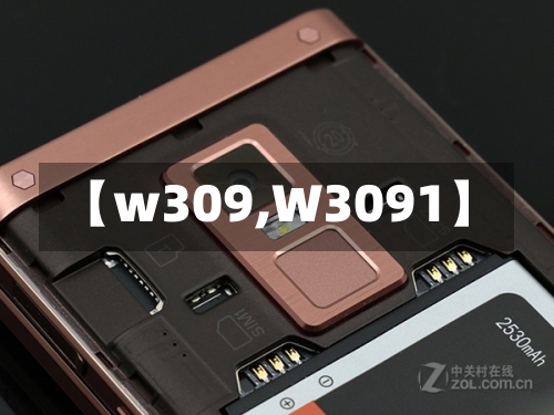 【w309,W3091】-第1张图片