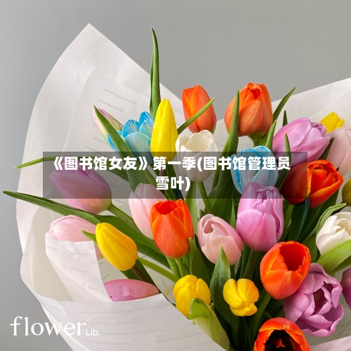 《图书馆女友》第一季(图书馆管理员雪叶)-第1张图片