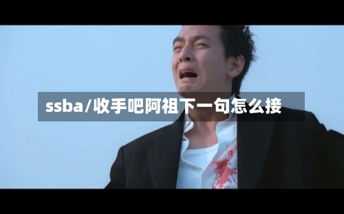 ssba/收手吧阿祖下一句怎么接-第1张图片