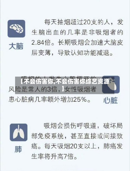 【不会伤害你,不会伤害你综艺资源】-第1张图片