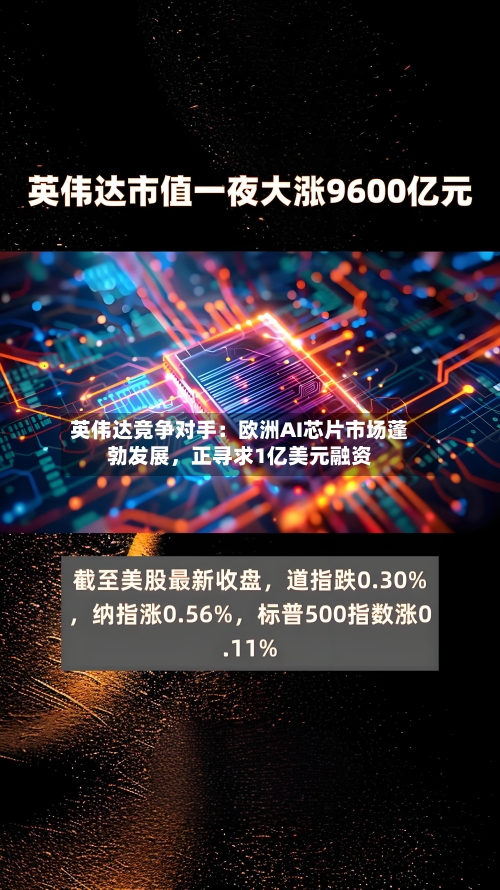 英伟达竞争对手：欧洲AI芯片市场蓬勃发展，正寻求1亿美元融资-第1张图片