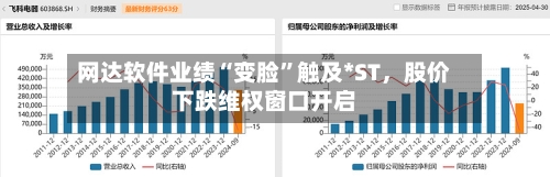 网达软件业绩“变脸	”触及*ST，股价下跌维权窗口开启-第2张图片