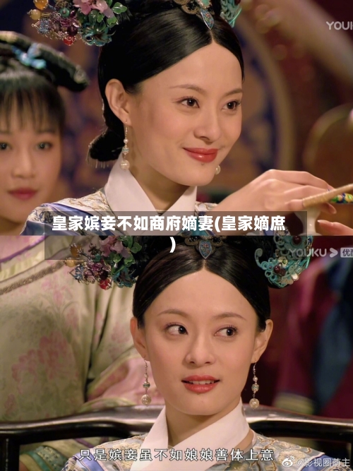 皇家嫔妾不如商府嫡妻(皇家嫡庶)-第2张图片