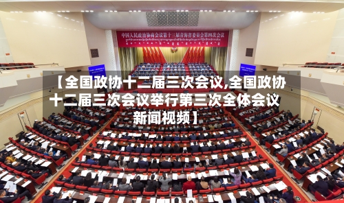 【全国政协十二届三次会议,全国政协十二届三次会议举行第三次全体会议新闻视频】-第2张图片