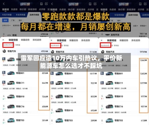 雷军回应造10万内车引热议，平价新能源车怎么选才不踩坑-第1张图片