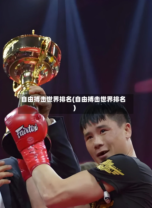 自由搏击世界排名(自由搏击世界排名)-第1张图片