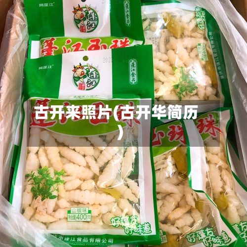 古开来照片(古开华简历)-第2张图片