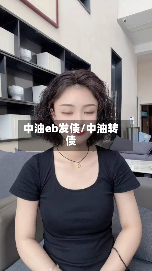 中油eb发债/中油转债-第2张图片