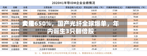 费用大涨650%	，国产光纤全球爆单，年内诞生3只翻倍股-第3张图片