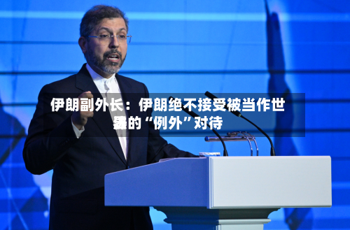 伊朗副外长：伊朗绝不接受被当作世界法的“例外”对待-第3张图片