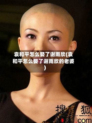 袁和平怎么娶了谢雨欣(袁和平怎么娶了谢雨欣的老婆)-第3张图片