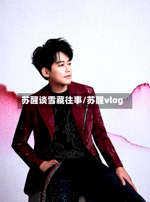 苏醒谈雪藏往事/苏醒vlog-第2张图片