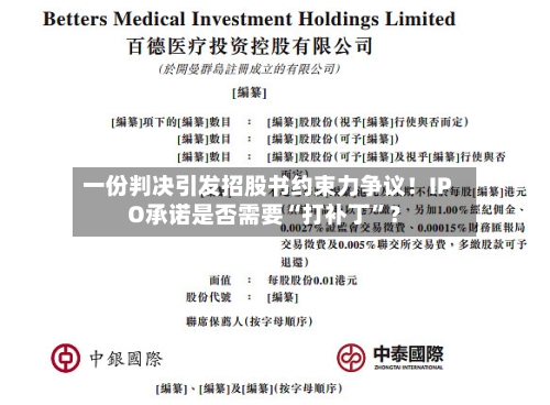 一份判决引发招股书约束力争议！IPO承诺是否需要“打补丁”？-第1张图片