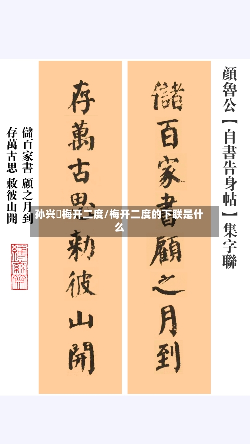 孙兴慜梅开二度/梅开二度的下联是什么-第2张图片