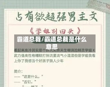 霸道总裁/霸道总裁是什么意思-第3张图片