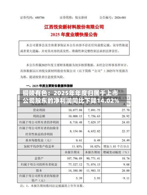 铜陵有色：2025年年度归属于上市公司股东的净利润同比下降14.02%-第1张图片