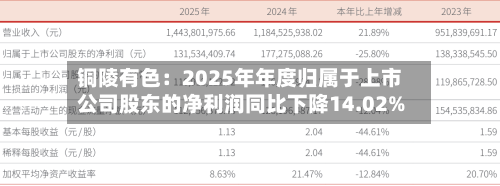 铜陵有色：2025年年度归属于上市公司股东的净利润同比下降14.02%-第3张图片