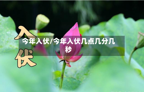 今年入伏/今年入伏几点几分几秒-第2张图片