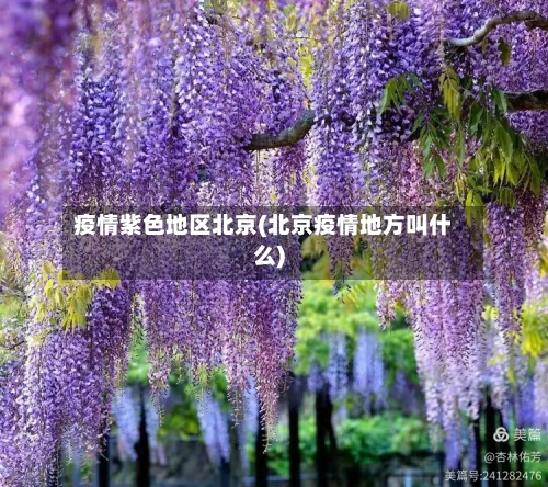 疫情紫色地区北京(北京疫情地方叫什么)-第2张图片
