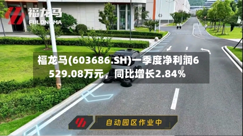 福龙马(603686.SH)一季度净利润6529.08万元，同比增长2.84%-第1张图片