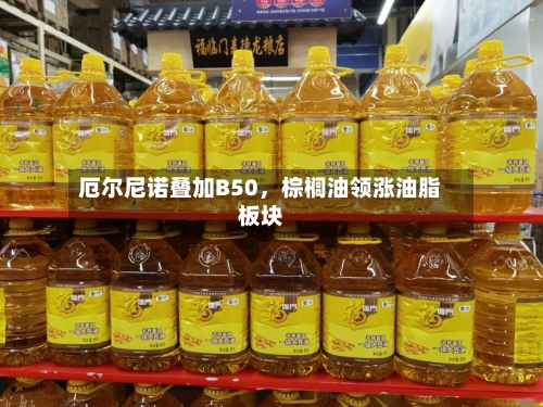 厄尔尼诺叠加B50，棕榈油领涨油脂板块-第1张图片