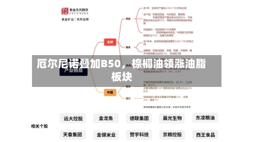 厄尔尼诺叠加B50，棕榈油领涨油脂板块-第2张图片