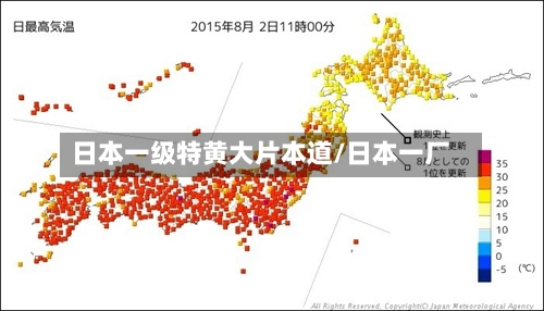 日本一级特黄大片本道/日本一厂-第2张图片