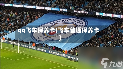 qq飞车保养卡(飞车普通保养卡)-第3张图片