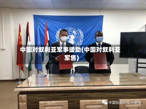 中国对叙利亚军事援助(中国对叙利亚军售)-第2张图片