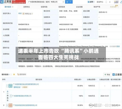 递表半年上市告吹 “腾讯系”小鹅通面临四大生死挑战-第2张图片