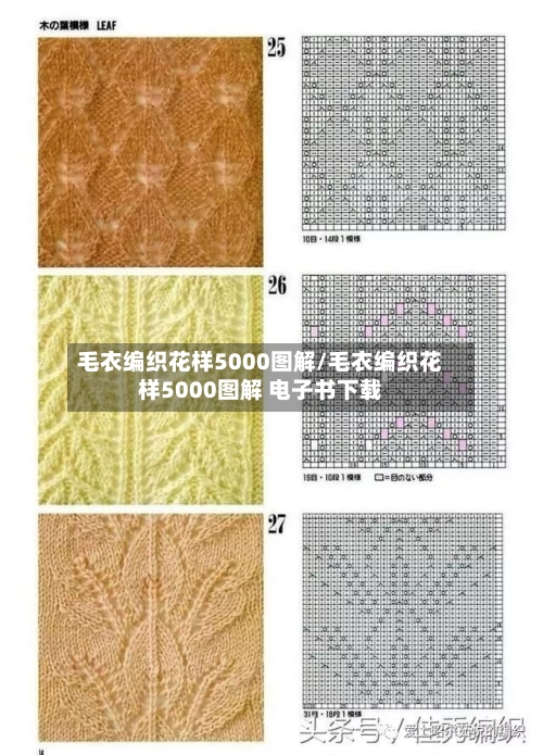 毛衣编织花样5000图解/毛衣编织花样5000图解 电子书下载-第1张图片