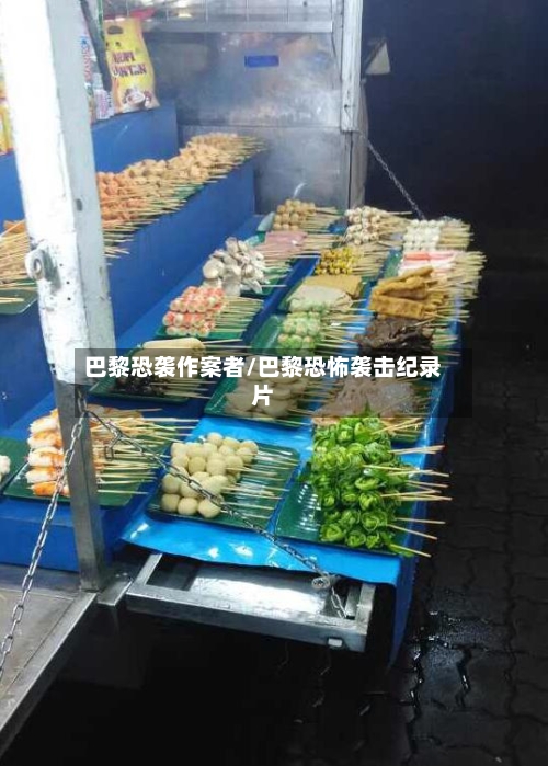 巴黎恐袭作案者/巴黎恐怖袭击纪录片-第2张图片