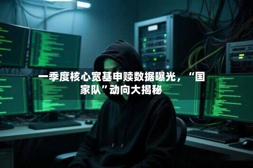 一季度核心宽基申赎数据曝光	，“国家队”动向大揭秘-第2张图片