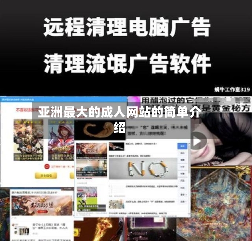 亚洲最大的成人网站的简单介绍-第2张图片