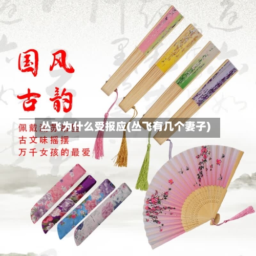 丛飞为什么受报应(丛飞有几个妻子)-第1张图片