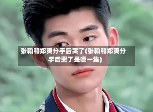 张翰和郑爽分手后哭了(张翰和郑爽分手后哭了是哪一集)-第1张图片