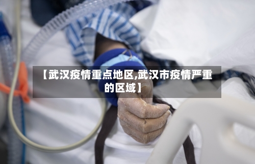 【武汉疫情重点地区,武汉市疫情严重的区域】-第2张图片