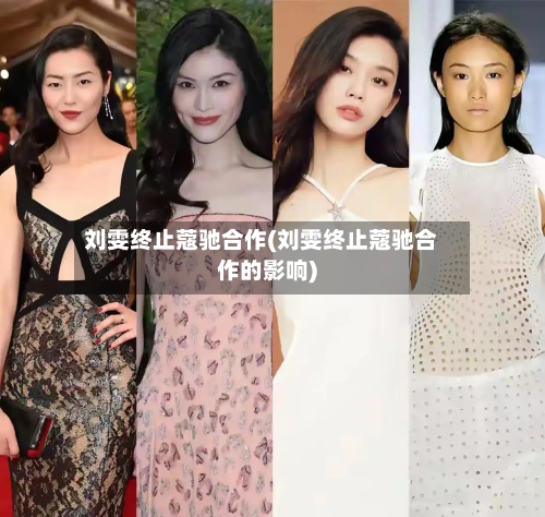 刘雯终止蔻驰合作(刘雯终止蔻驰合作的影响)-第3张图片