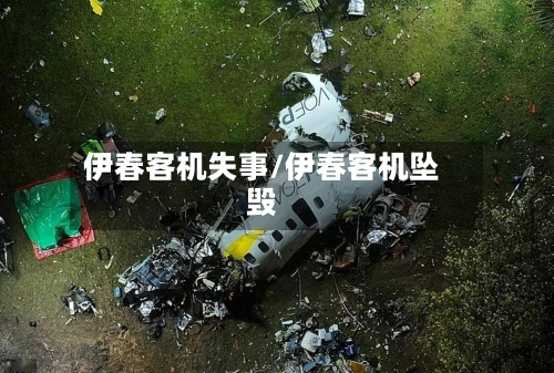 伊春客机失事/伊春客机坠毁-第3张图片